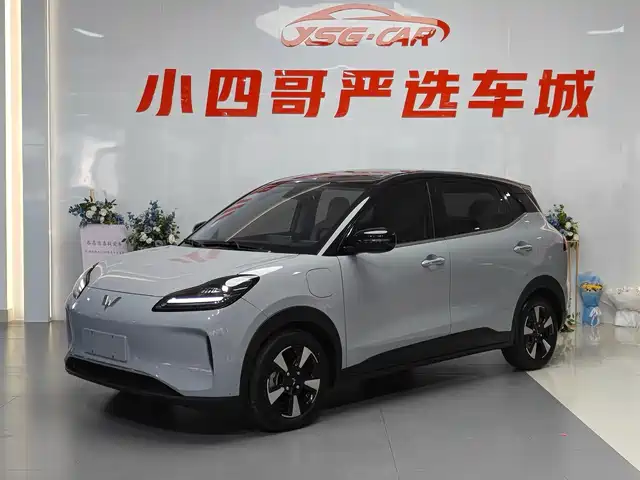 Wuling Motors Wuling Binguo PLUS 2024
