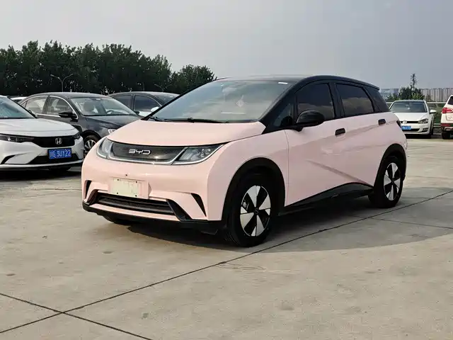 BYD Dolphin 2024