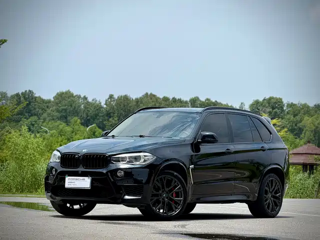BMW BMW X5 (Import) 2014