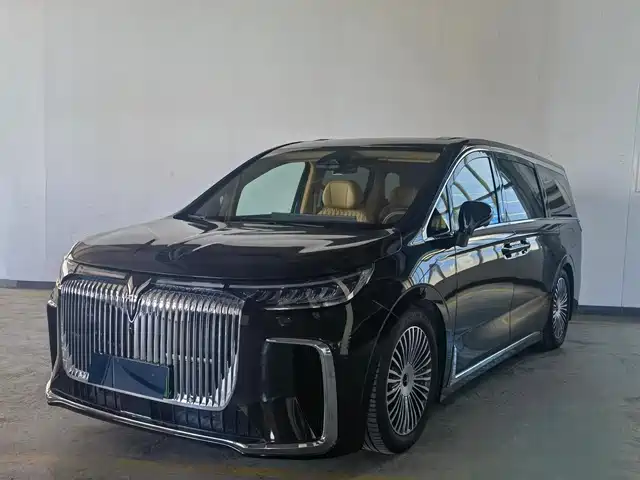 Voyah Auto Voyah Dreamer 2024