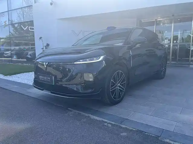 Voyah Auto Voyah Zhiyin