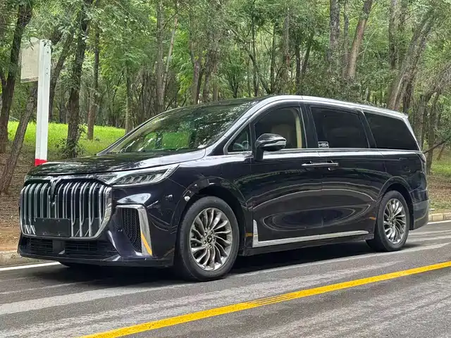 Voyah Auto Voyah Dreamer 2022