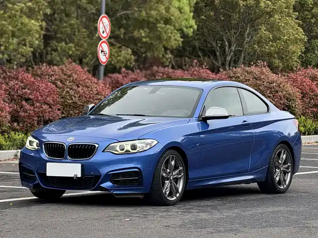 BMW BMW 2 Series (Import) 2016