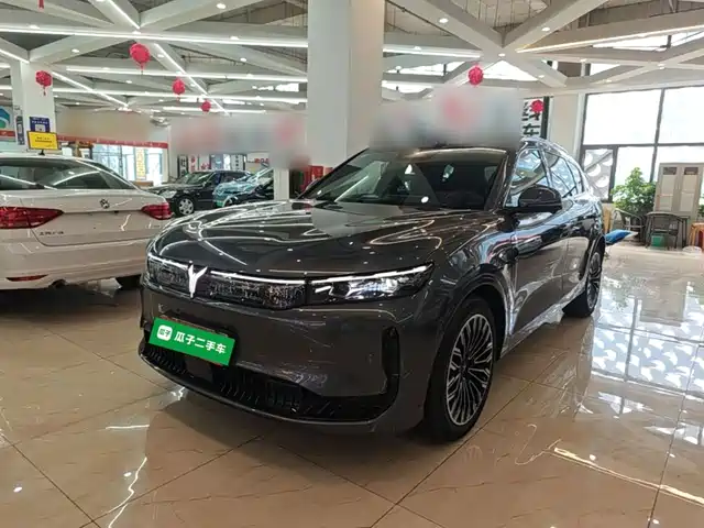 Voyah Auto VOYAH FREE 2025