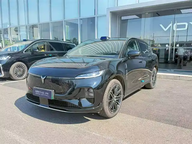Voyah Auto Voyah Zhiyin 2025