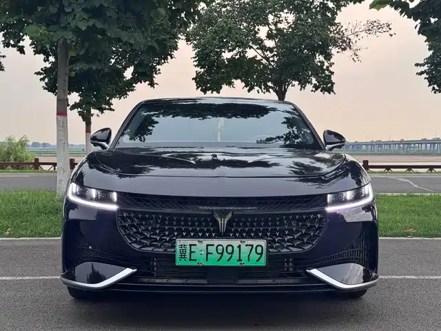 Voyah Auto VOYAH Zhuiguang 2024