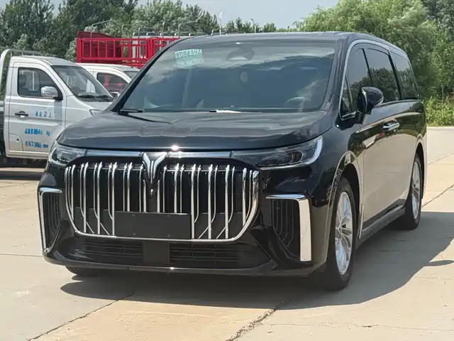 Voyah Auto Voyah Dreamer 2024