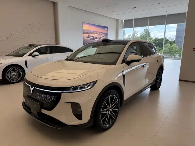 Voyah Auto Voyah Zhiyin 2025