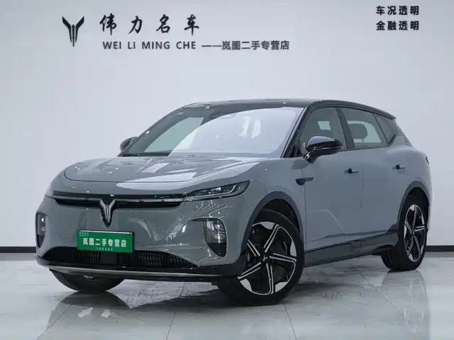 Voyah Auto Voyah Zhiyin 2025