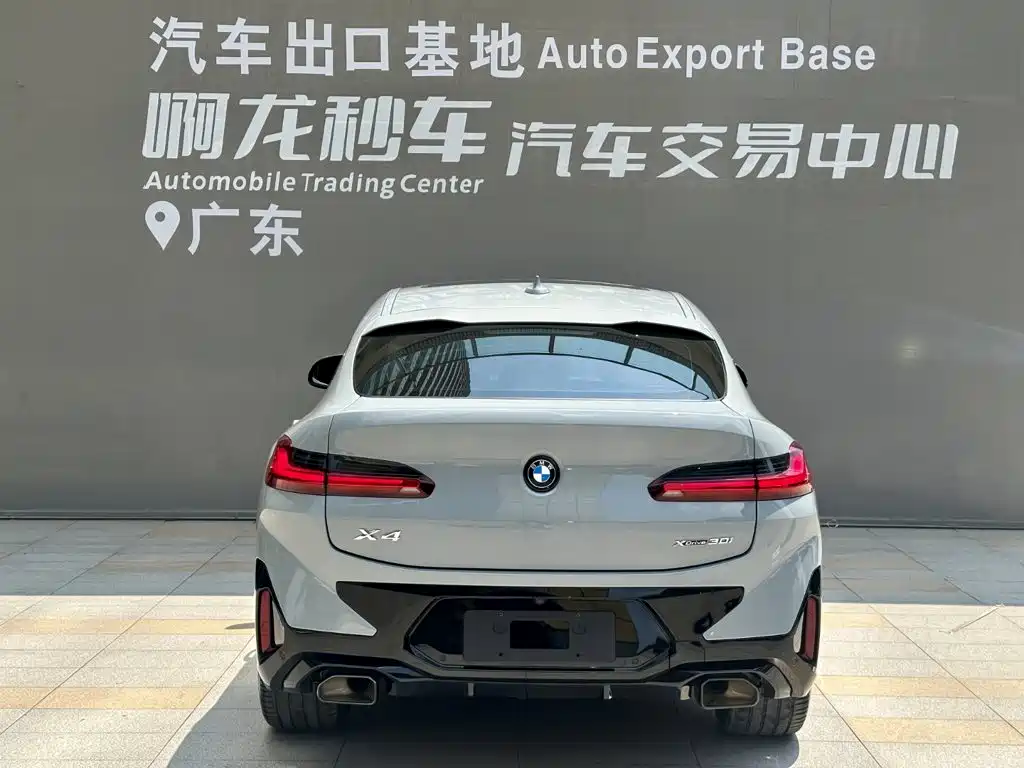 BMW BMW X4