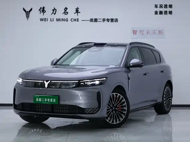 Voyah Auto VOYAH FREE 2025