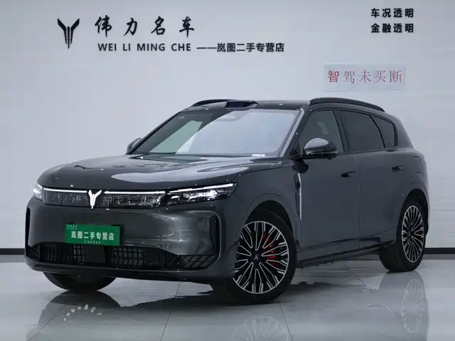 Voyah Auto VOYAH FREE 2025