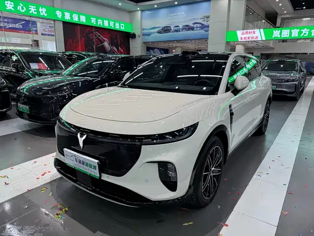 Voyah Auto Voyah Zhiyin 2025