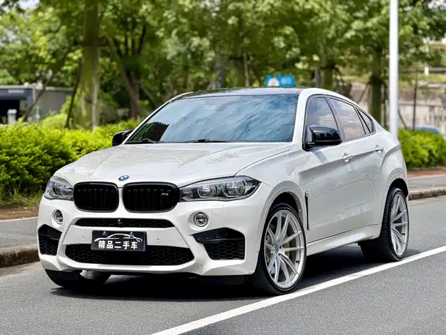 BMW BMW X6 M
