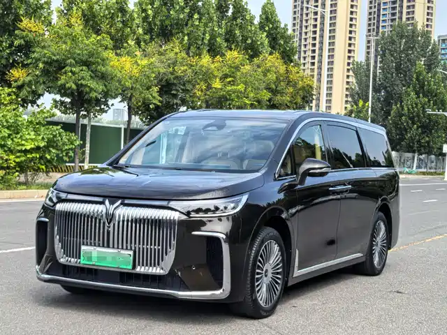 Voyah Auto Voyah Dreamer 2024