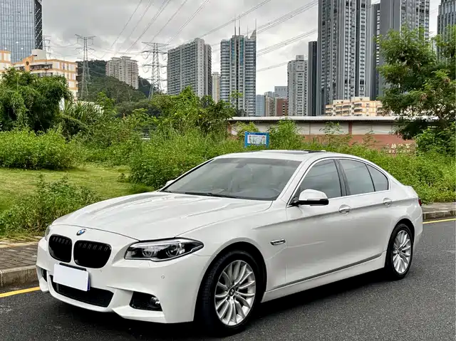 BMW BMW 5 Series (Import) 2014