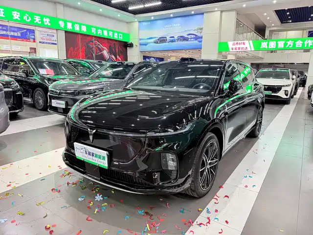 Voyah Auto Voyah Zhiyin 2025