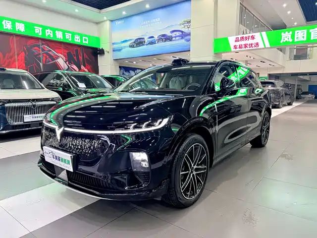 Voyah Auto Voyah Zhiyin 2025