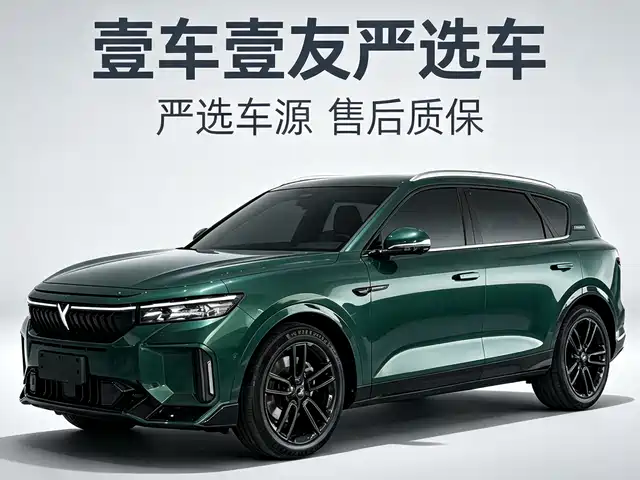 Voyah Auto VOYAH FREE 2024