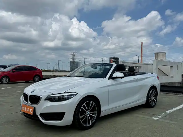 BMW BMW 2 Series (Import) 2018