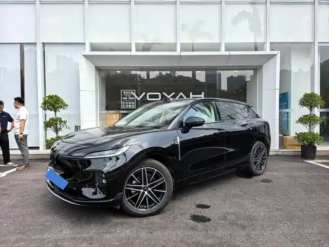 Voyah Auto Voyah Zhiyin 2025