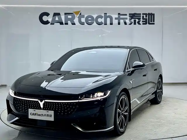 Voyah Auto VOYAH Zhuiguang 2024
