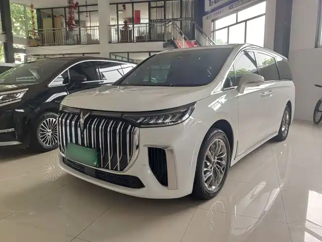 Voyah Auto Voyah Dreamer 2024