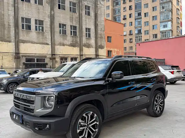 Haval Haval Big Dog 2024