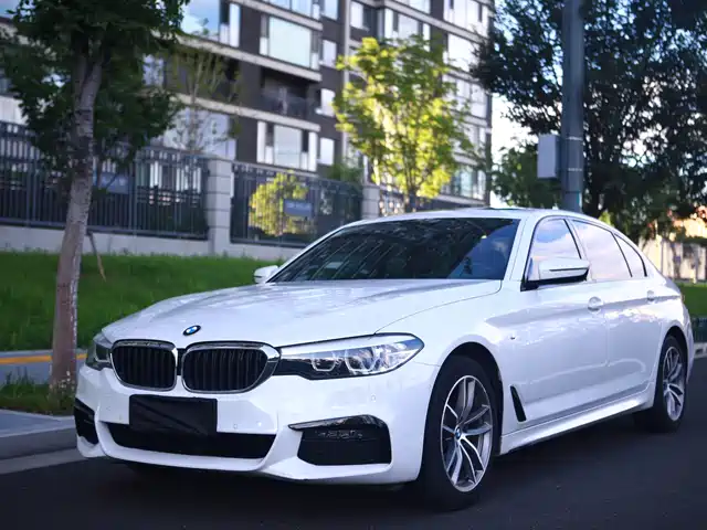 BMW BMW 5 Series 2019