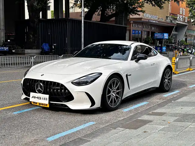 Mercedes-Benz AMG GT New Energy