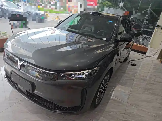 Voyah Auto VOYAH FREE 2025