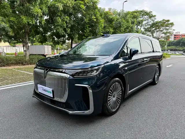 Voyah Auto Voyah Dreamer 2025