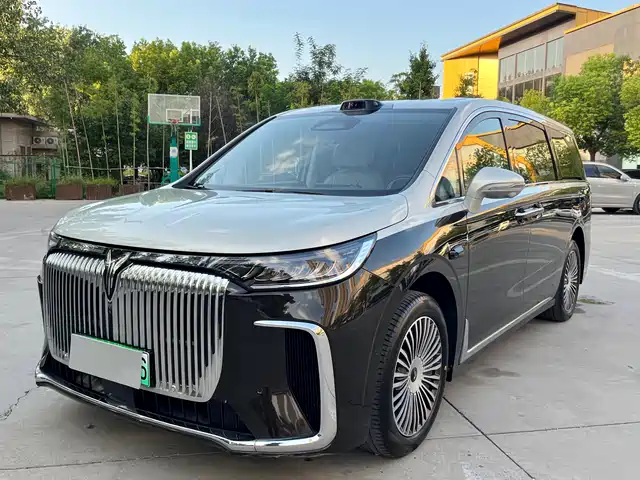 Voyah Auto Voyah Dreamer 2024