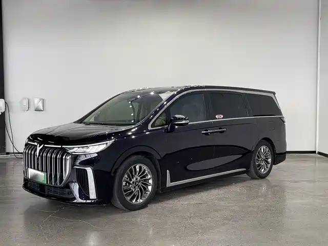Voyah Auto Voyah Dreamer