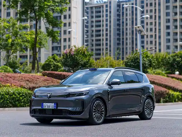 Voyah Auto VOYAH FREE 2025