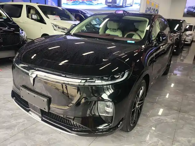 Voyah Auto Voyah Zhiyin 2025