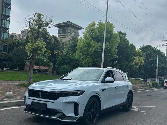 Voyah Auto VOYAH FREE