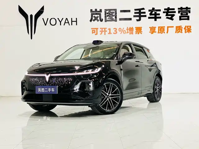 Voyah Auto Voyah Zhiyin 2025
