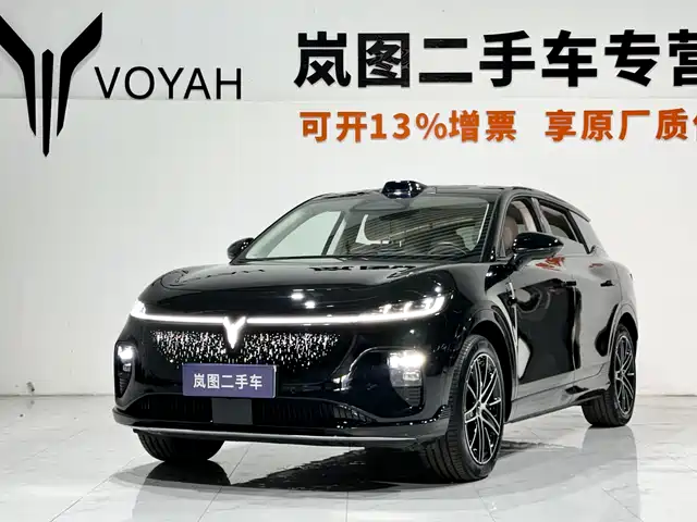 Voyah Auto Voyah Zhiyin 2025