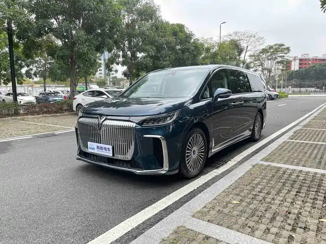 Voyah Auto Voyah Dreamer 2024