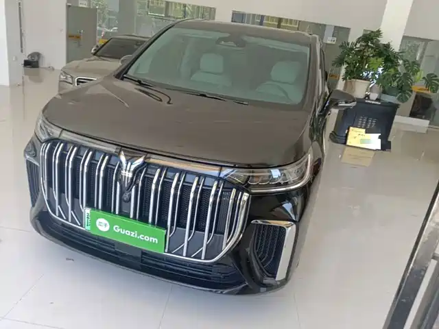 Voyah Auto Voyah Dreamer 2022