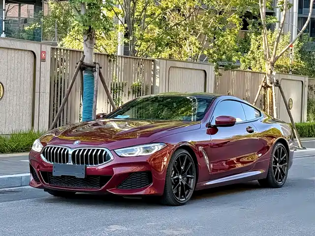 BMW BMW 8 Series 2021