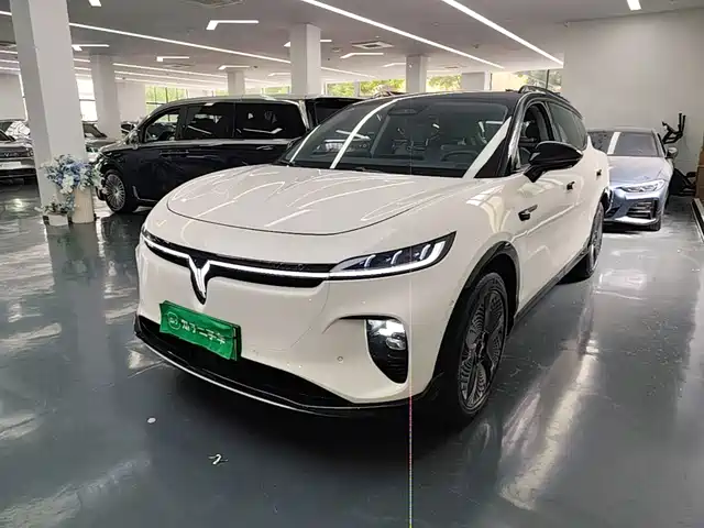 Voyah Auto Voyah Zhiyin 2025