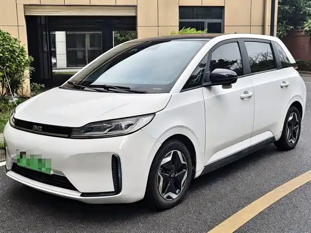 BYD BYD D1