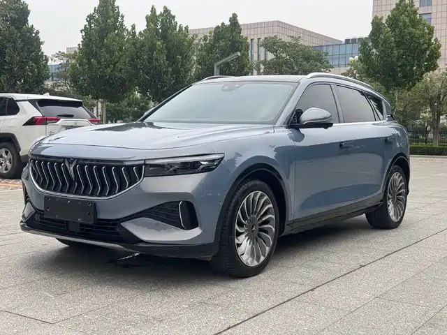 Voyah Auto VOYAH FREE 2022