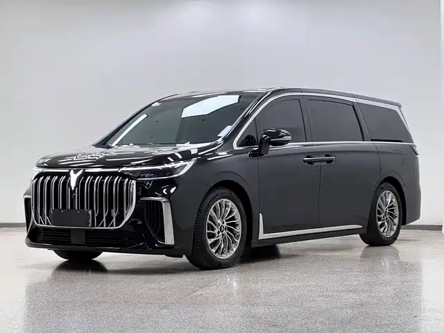 Voyah Auto Voyah Dreamer 2023