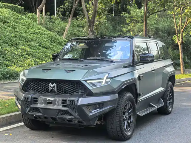 Mengshi Mengshi 917