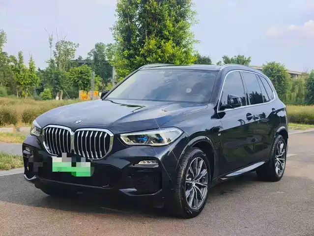 BMW BMW X5 New Energy(Imported)