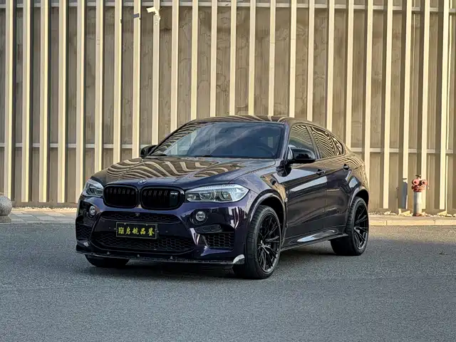 BMW BMW X6 M