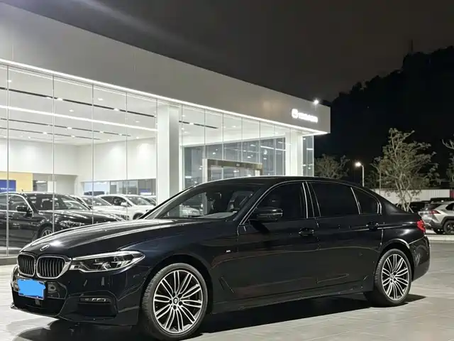 BMW BMW 5 Series 2019